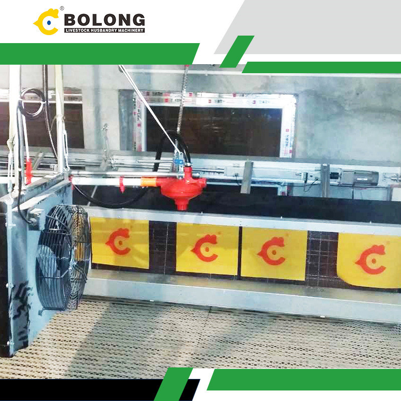 Evolution and Benefits of Automatic Egg Collectors